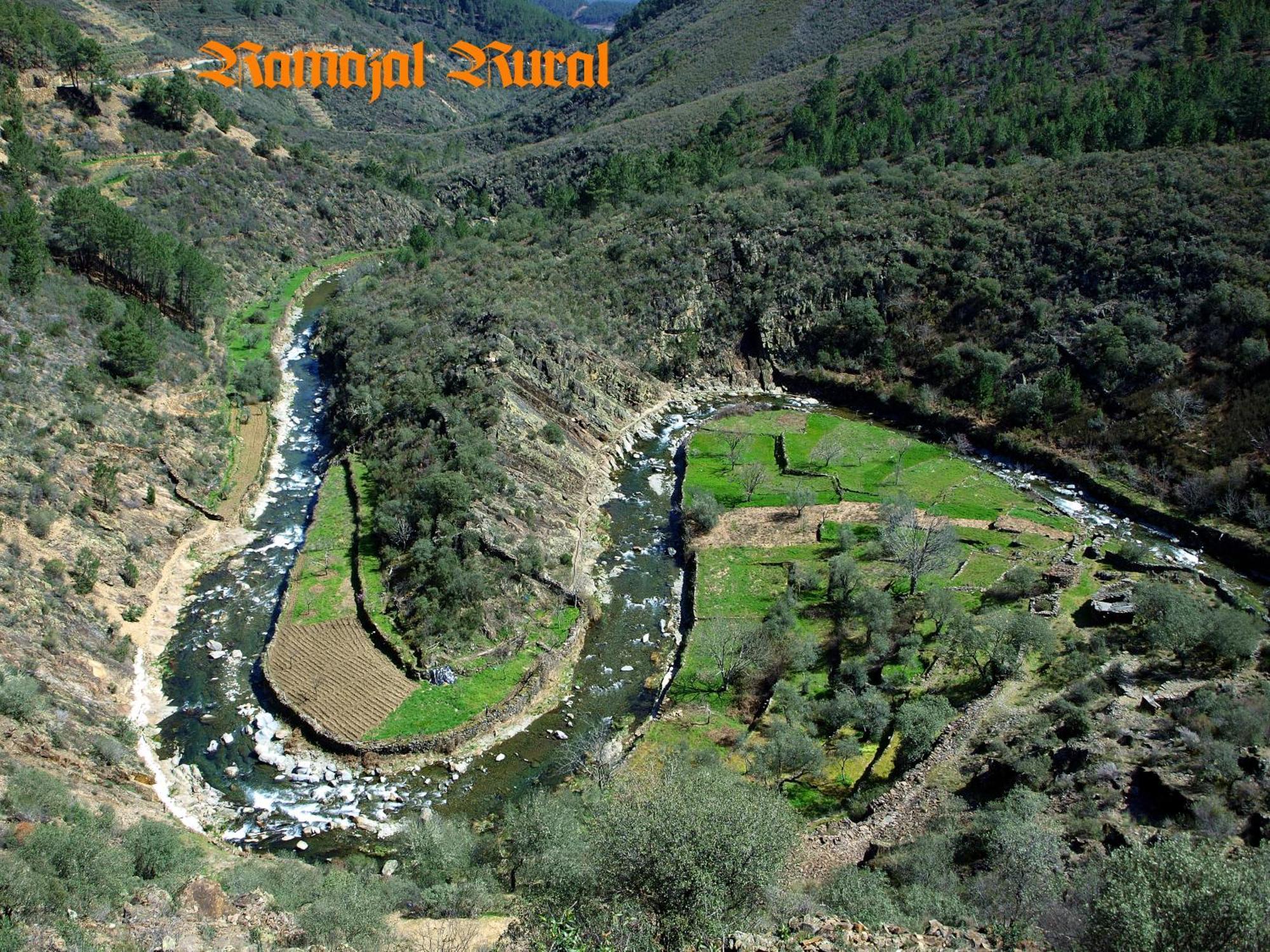 Horcajo  Ramajal Rural 게스트하우스 객실 사진